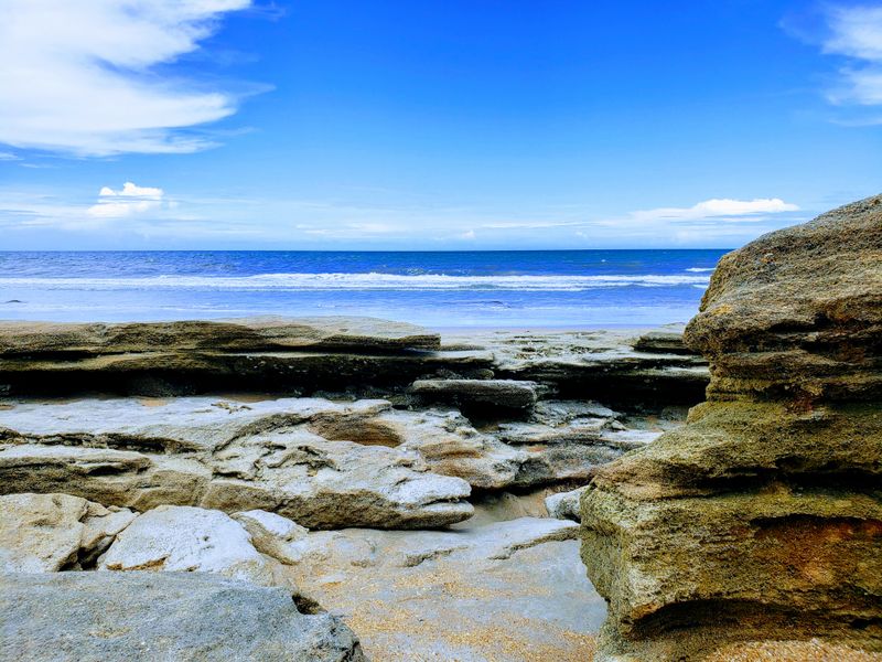 Washington Oaks Gardens State Park (Palm Coast)