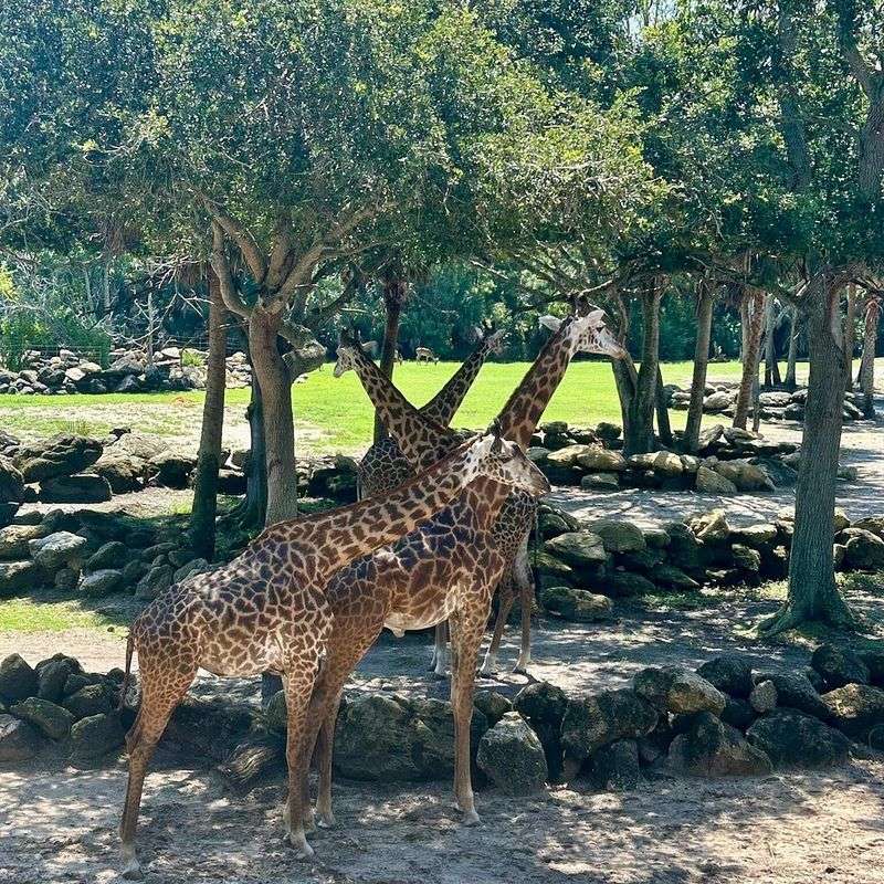 Brevard Zoo — Melbourne, FL