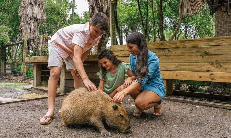 VIP and Behind the Scenes Encounters