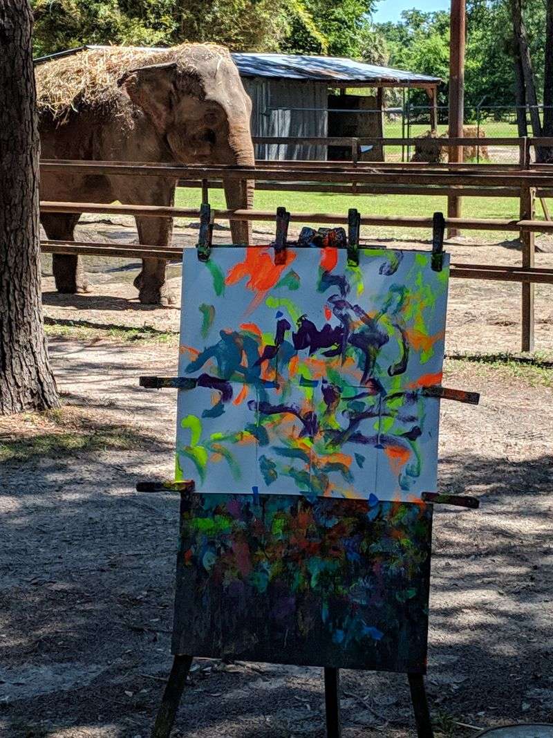 Photography Without Surprises