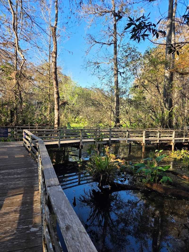 Follow the Boardwalk Through Changing Habitats