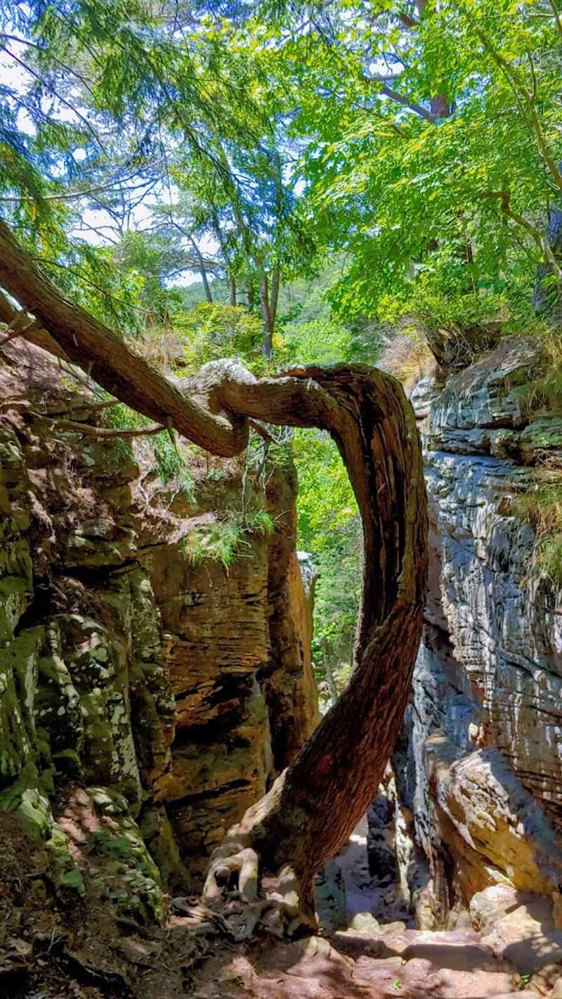 Stepping Through the Door Into Another World