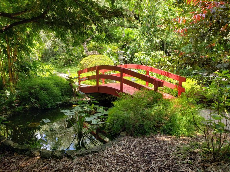 Miami Beach Botanical Garden