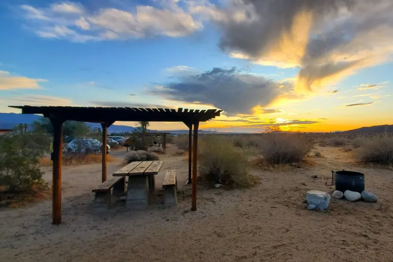 Borrego Palm Canyon Campground – Borrego Springs