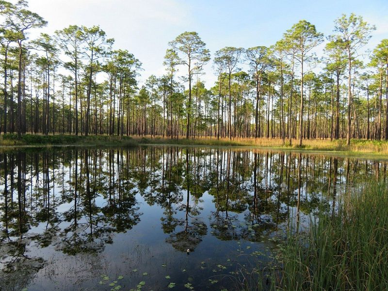 Ochlockonee River State Park – Sopchoppy area
