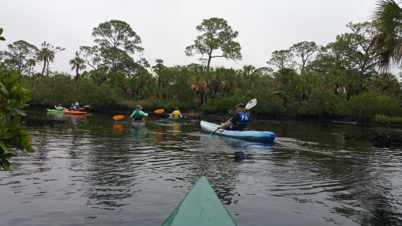 Werner-Boyce Salt Springs State Park (Pasco County)