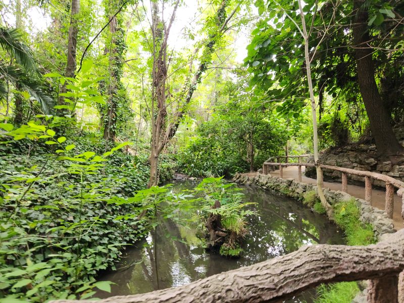 Fern Forest Nature Preserve