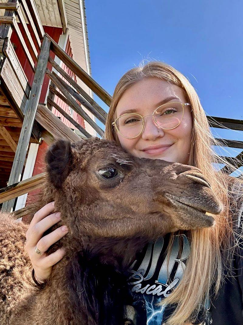 Animal Welfare And Care Standards