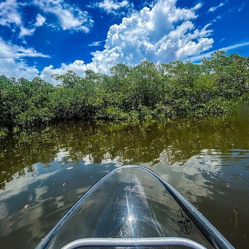 Paddling The Mangrove Tunnels