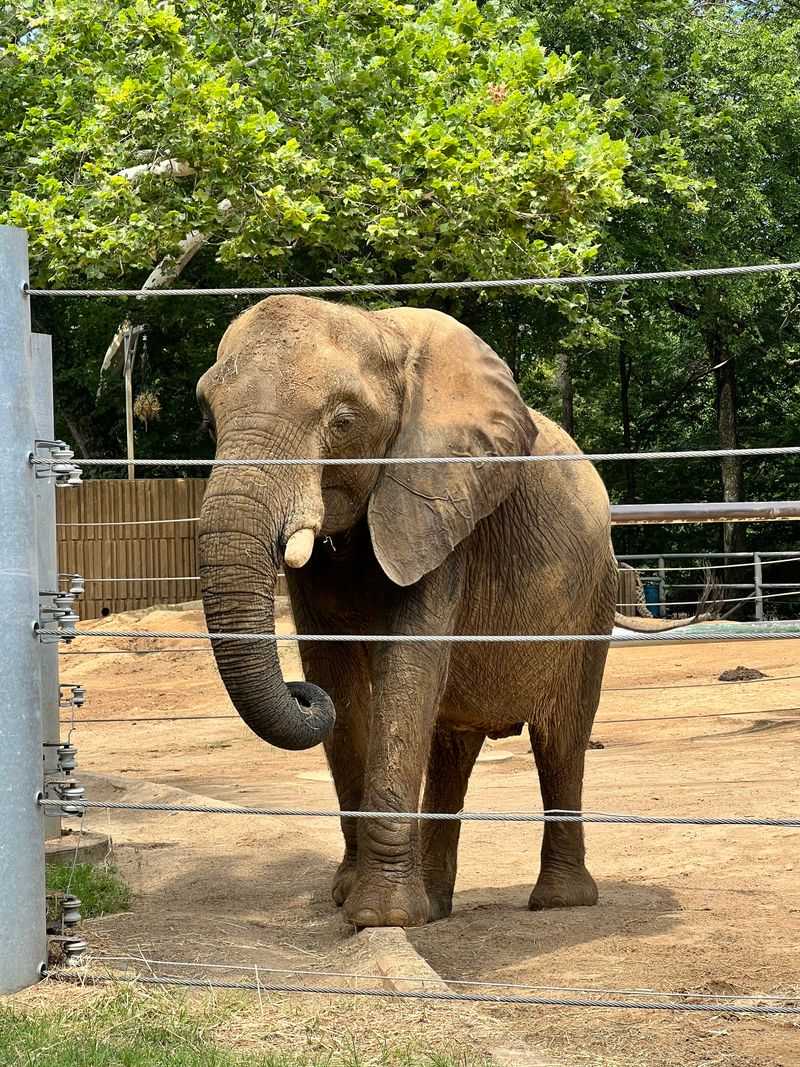 Family Planning: Tickets, Timing, and Food