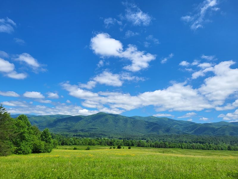 Drive Cades Cove at Sunrise
