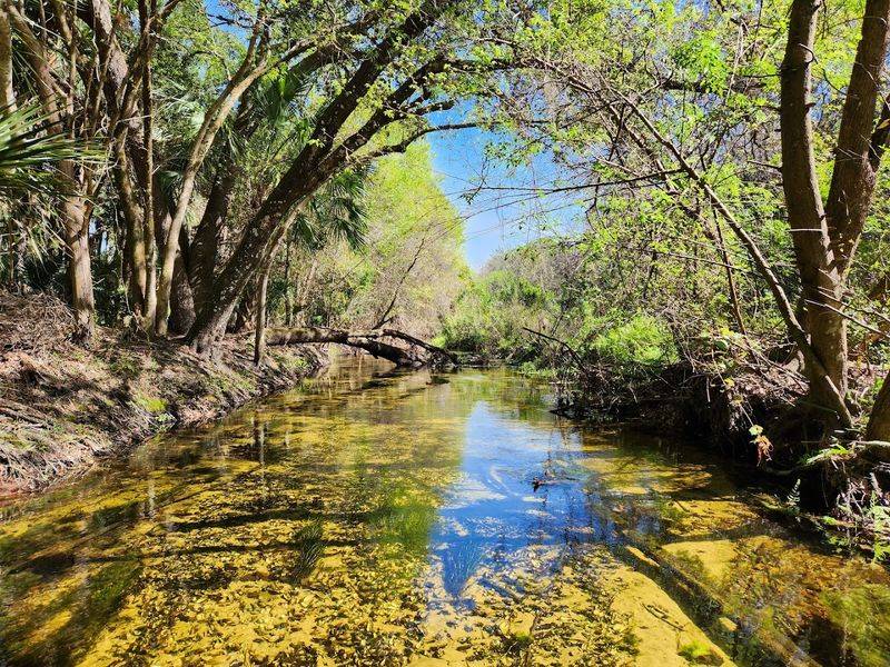 Seasonal Light And Weather Strategy