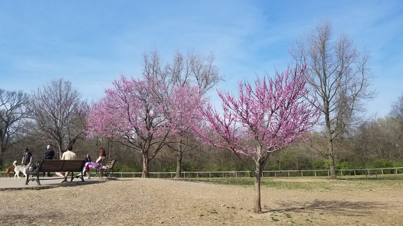 Shelby Park &mdash; Nashville