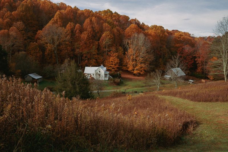 Roan Mountain Scenic Highway