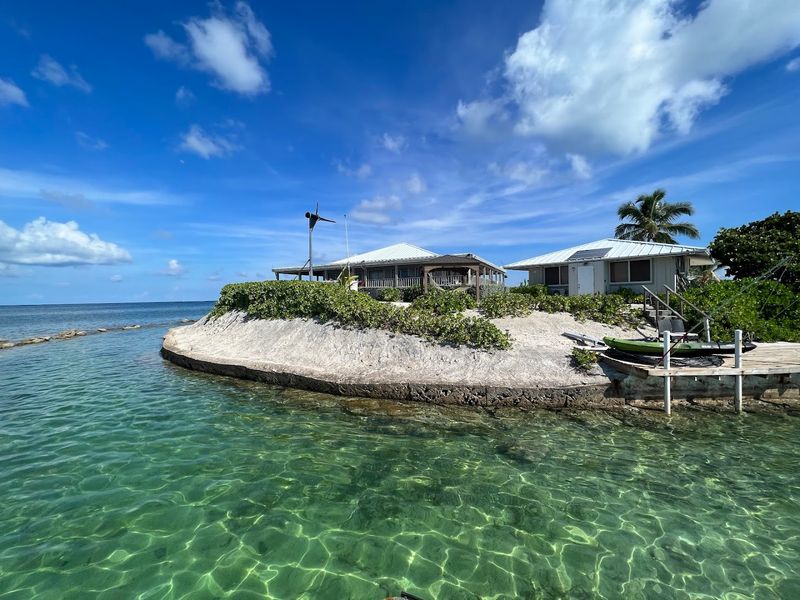 Water Time: Moat, Reef, And Marine Life