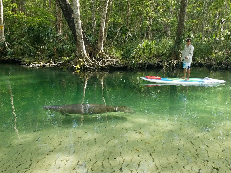 Crystal-clear spring paddle at Weeki Wachee