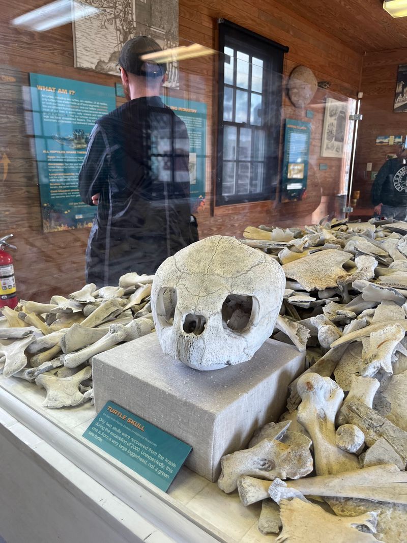 Turtle Cannery Museum 