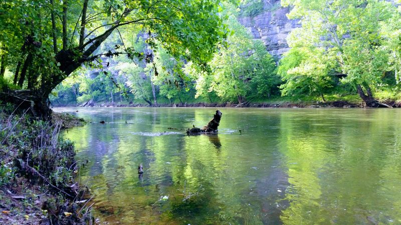 Caney Fork River