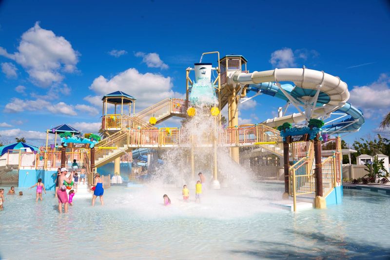 Wellness Mornings: Laps, Stretch, Repeat