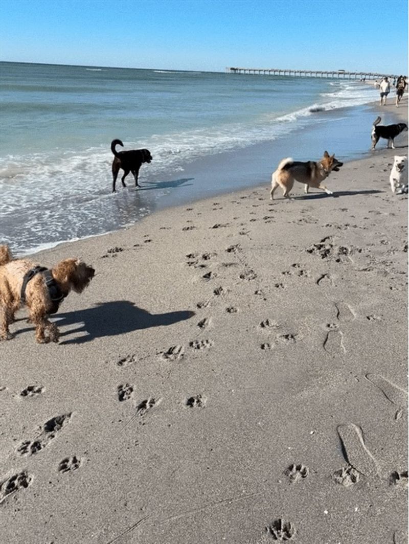 Brohard Paw Park (Venice, FL)