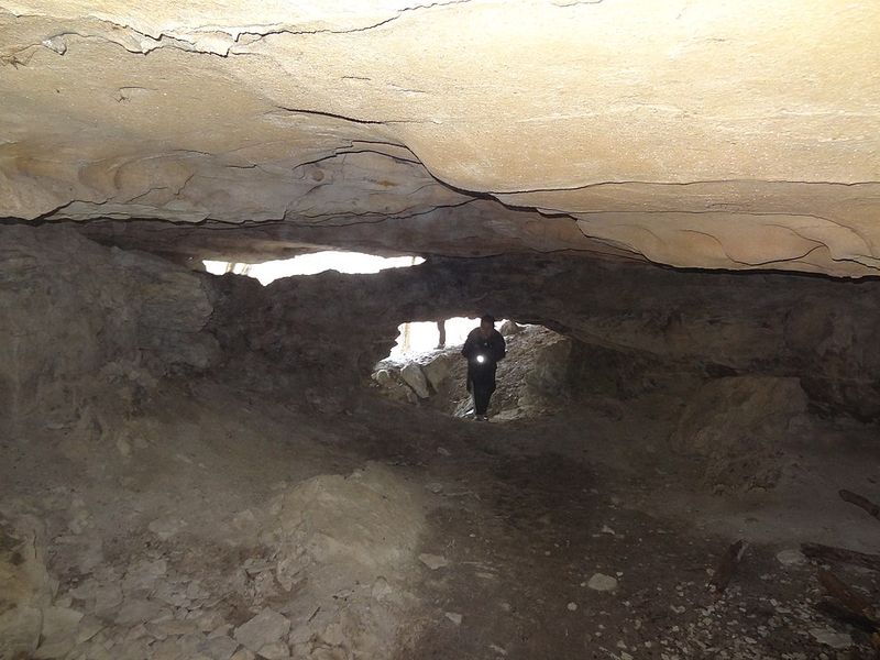 Thumping Dick Hollow — Sewanee Area