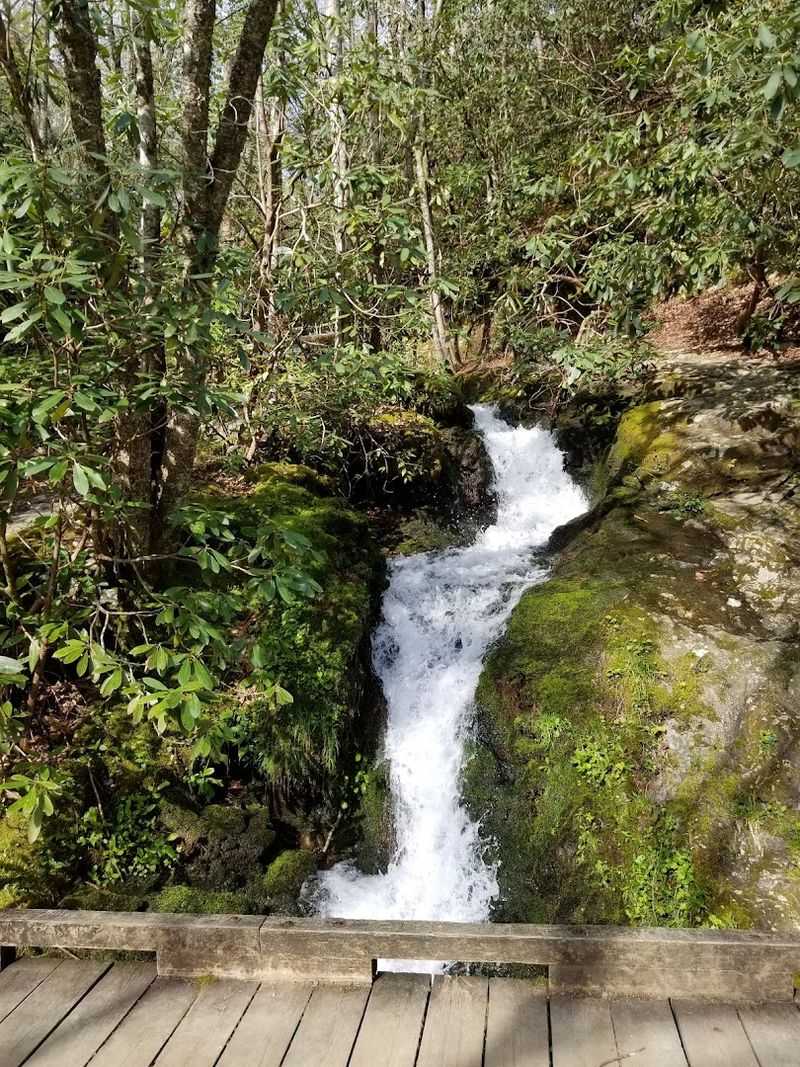 Huskey Branch Falls (Gatlinburg)