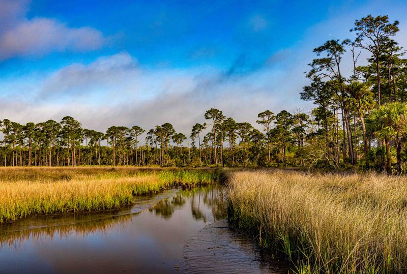 Faver-Dykes State Park (St. Johns County)
