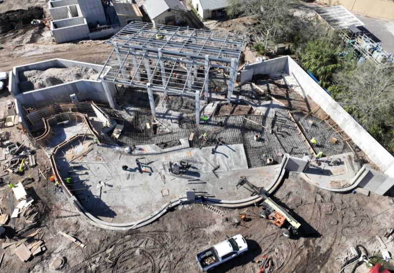 Rescue, Rehab, and Release Journey