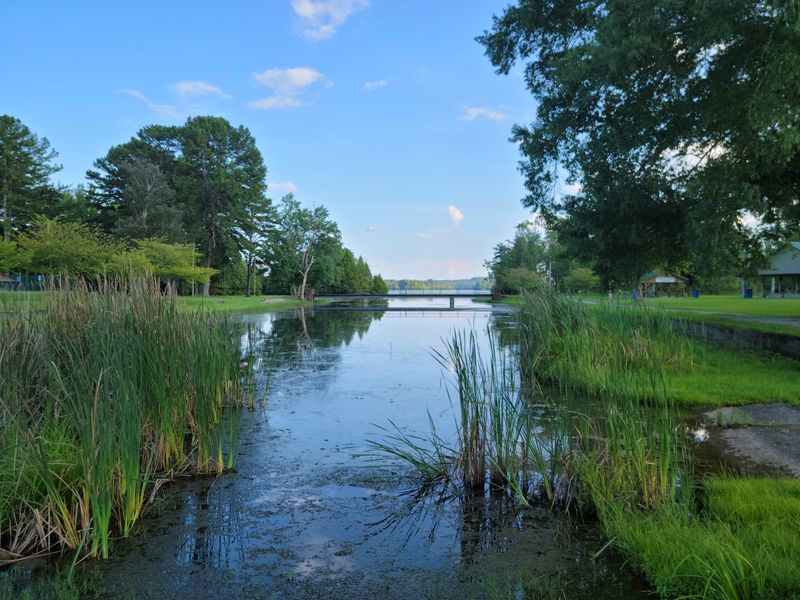 Spring City (Watts Bar Lake)