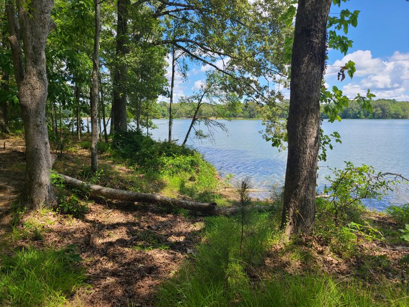 Herb Parsons Lake (Fayette County)