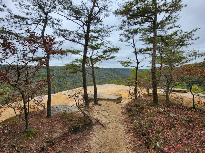 Savage Gulf State Natural Area