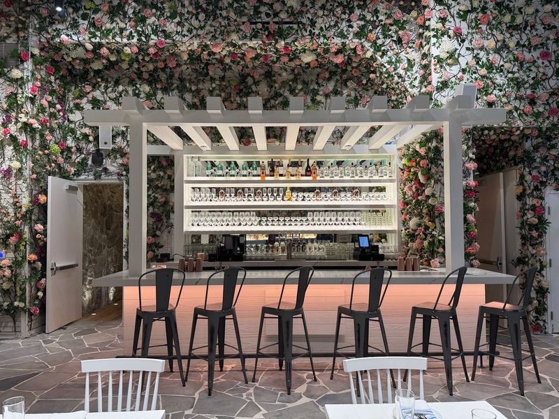 The Vibe From Romantic Dinners to Celebrations