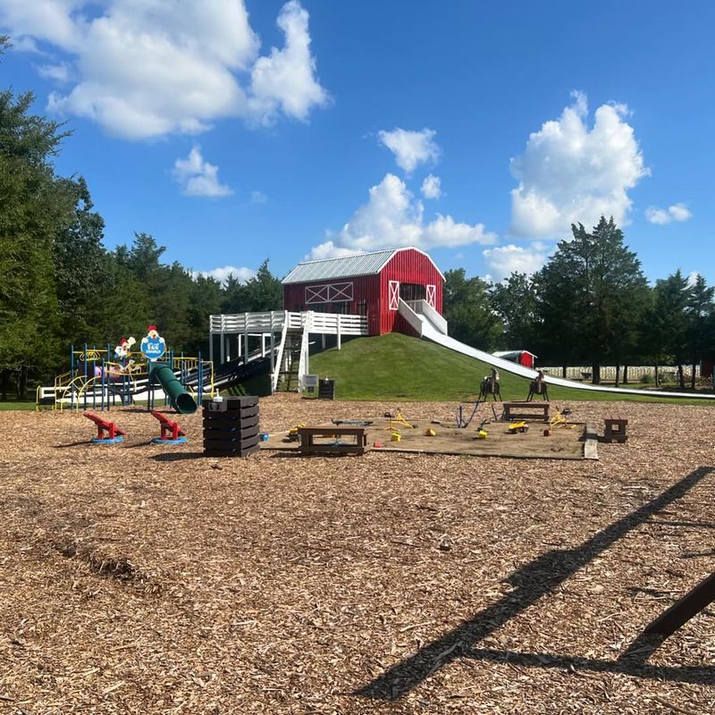 Don't Miss Tulip Bulb Dig Days