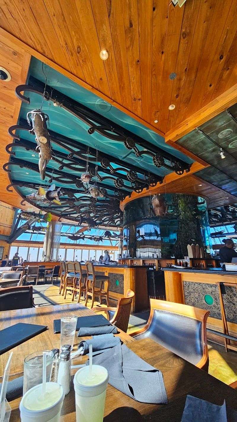 Perfect for Families and Date Nights