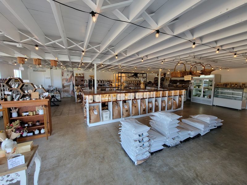 Where To Shop For Everyday Deals