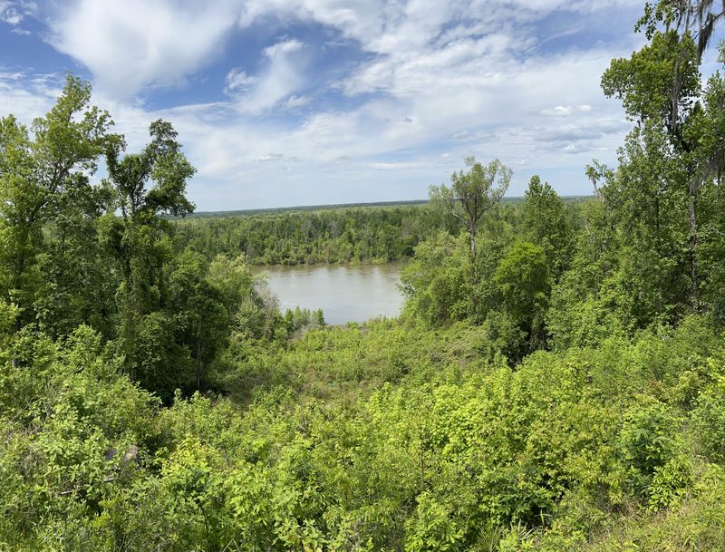 Torreya State Park (Bristol) 