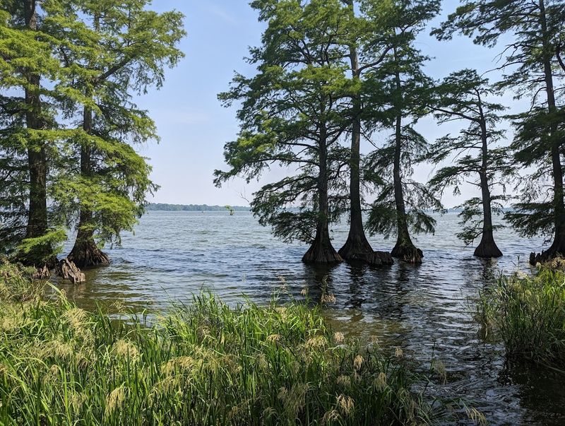 Reelfoot Lake State Park (Tiptonville)