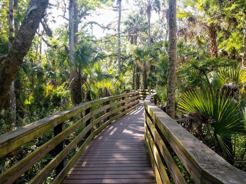 Black Bear Wilderness Area Loop (Seminole County)