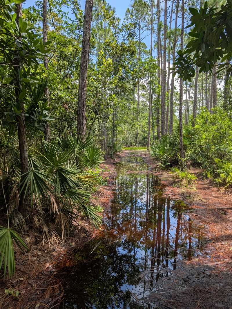 Tibet-Butler Preserve (near Disney / Dr. Phillips area)