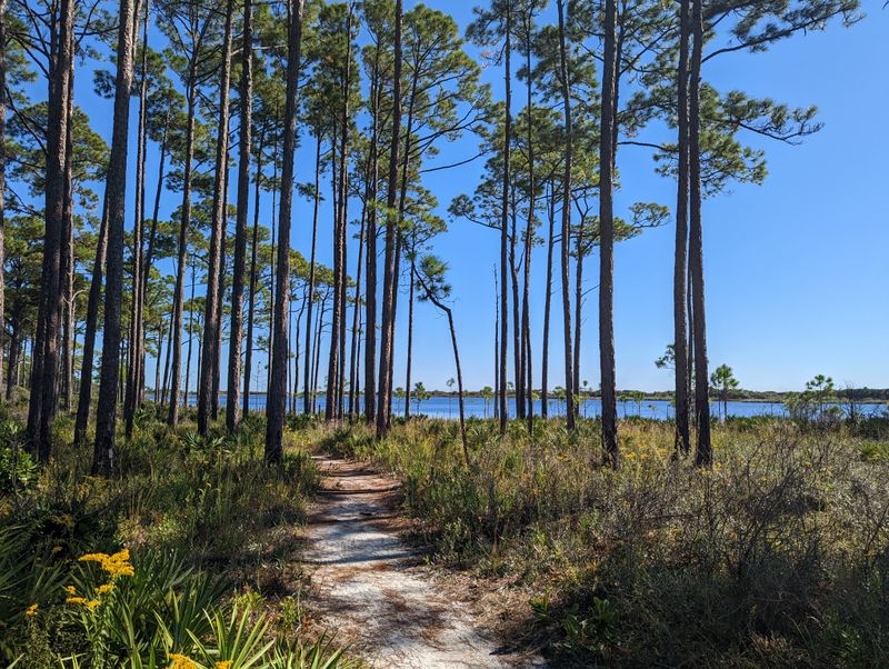 Topsail Hill Preserve Deer Lake Trail (Santa Rosa Beach)