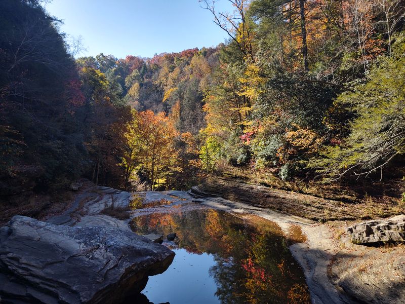 Savage Gulf State Park