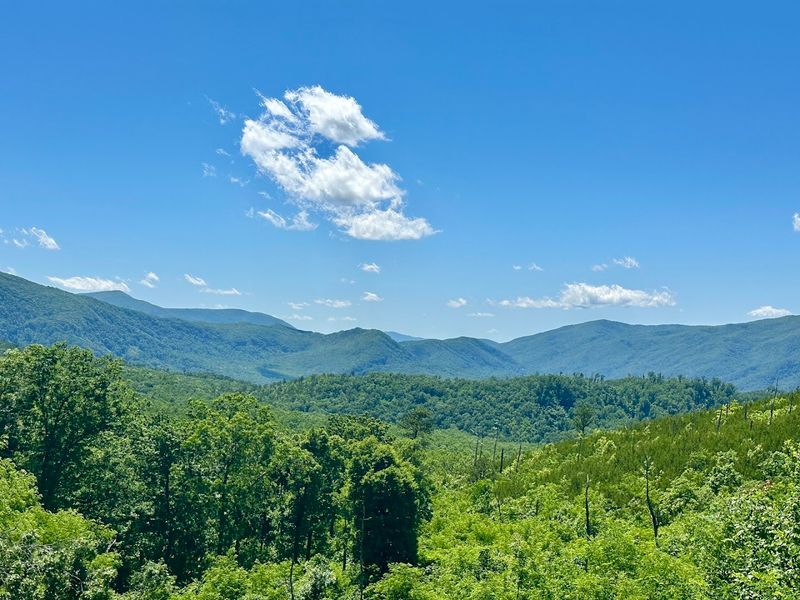 Roaring Fork Motor Nature Trail &mdash; Gatlinburg