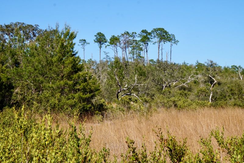 Pat’s Island to Hidden Pond Trail 