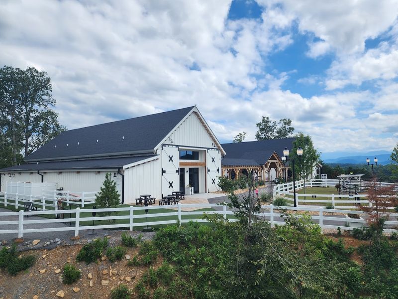 Cowboy Entertainment & Western Vibes