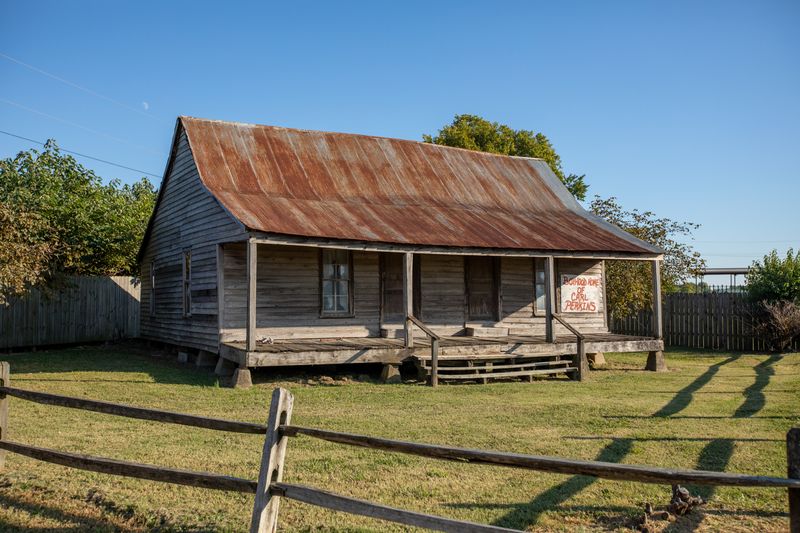 Reelfoot Lake Pelican Festival (Tiptonville)