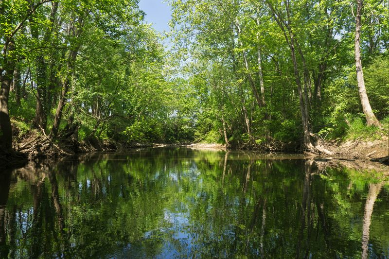 Harpeth River (Franklin / Near Nashville)