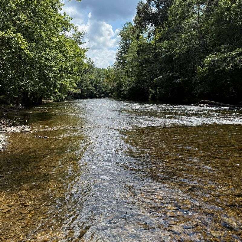 River Fun on the Little River