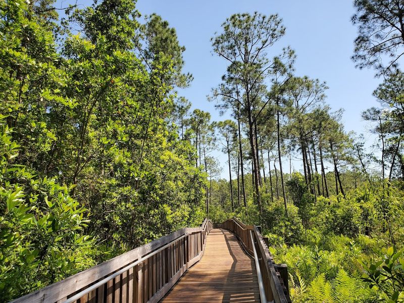 Use Florida’s nature as your built-in spa