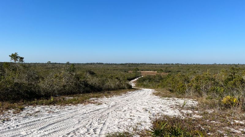 Catfish Creek Preserve State Park (Polk County)