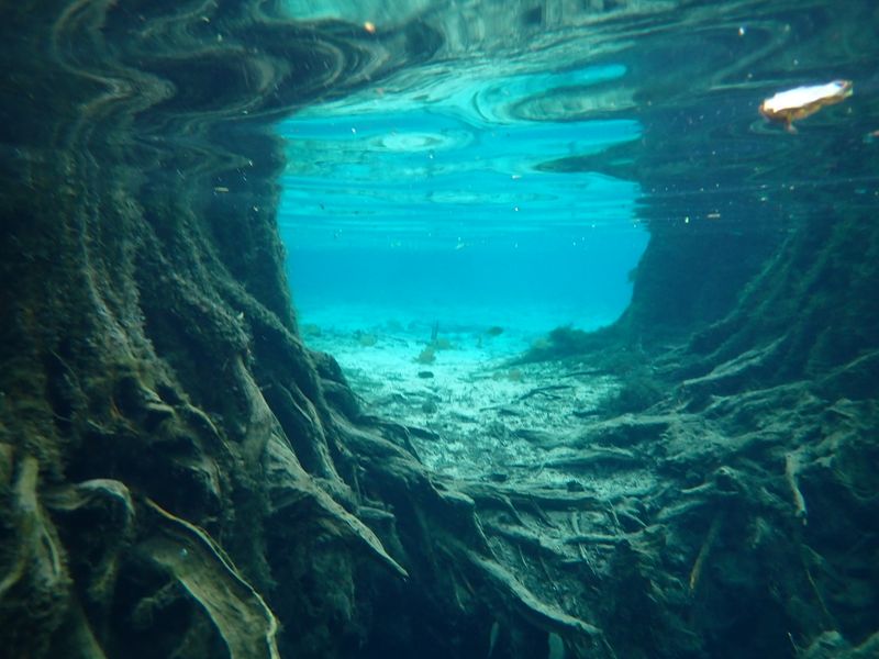 Morrison Springs (Ponce de Leon)